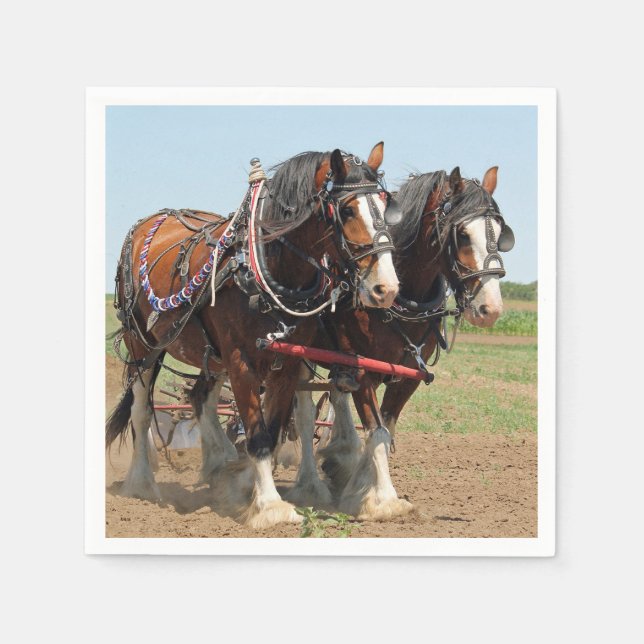 Serviette En Papier Horse Clydesdale Agriculture Photo (Devant)