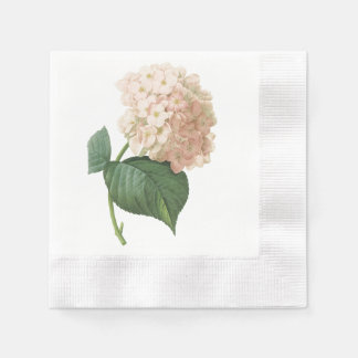 Serviette En Papier hortensia(Hydrangea sp.) par Redouté