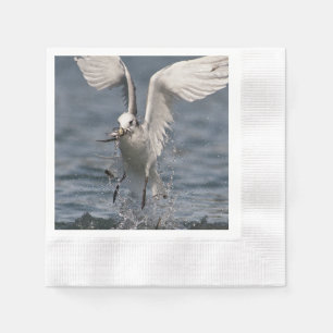 Serviette En Papier Hovering Kittiwake