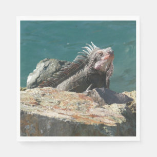 Serviette En Papier Iguane à St-Thomas