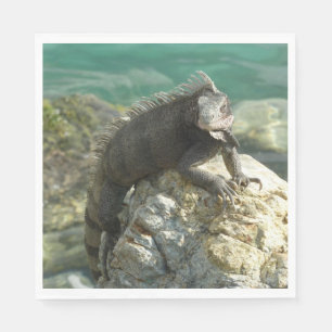 Serviette En Papier Iguane sur les rochers à St. Thomas