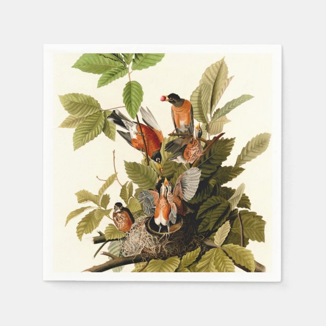 Serviette En Papier Illustration Audubon American Robin Wildlife Bird (Devant)