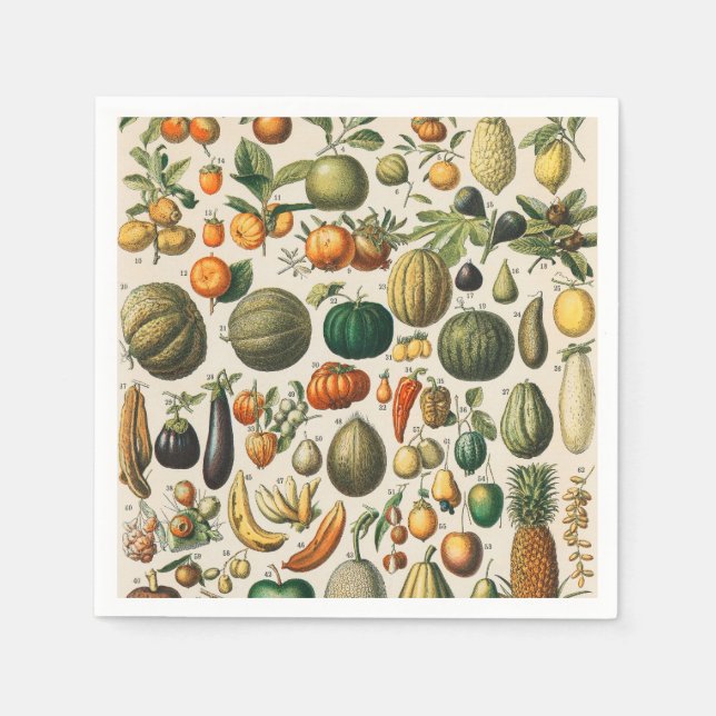 Serviette En Papier Illustration scientifique végétale des fruits (Devant)