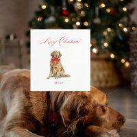 Image de chien de Noël Cocktail