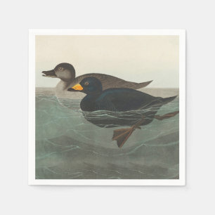 Serviette En Papier Impression de Macreuse noire d'Audubon : Canard cô