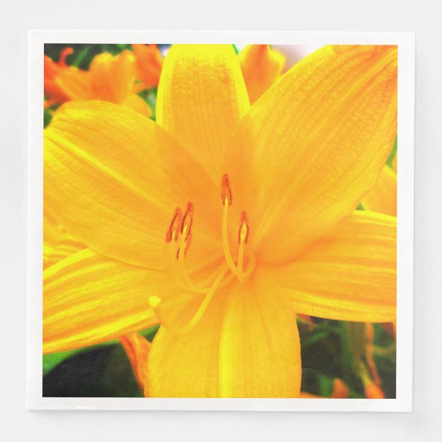 Serviette En Papier Jaune Orange Jaune Lys Fleurs Jardin Ensoleillées (Devant)