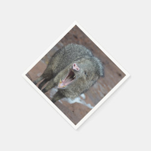 Serviette En Papier Javalina avec son grand open de bouche