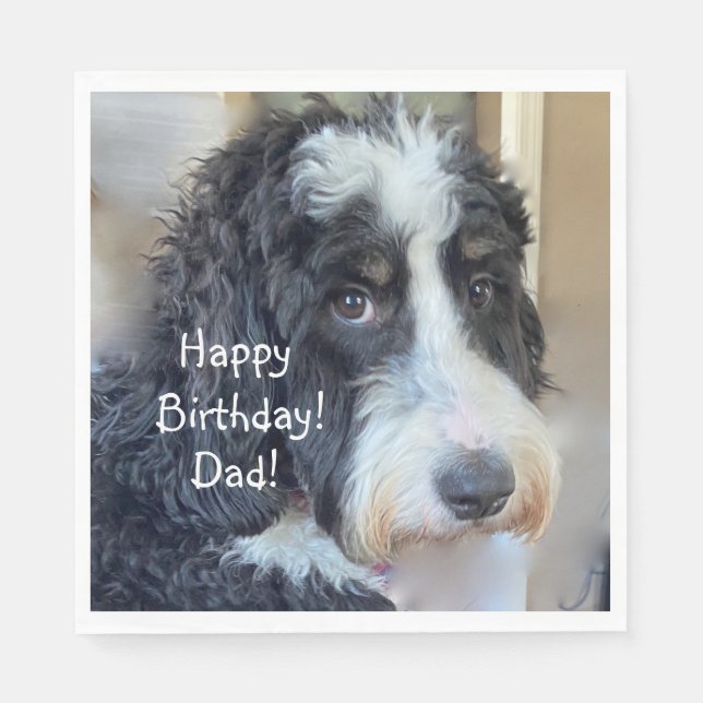 Serviette En Papier Joyeux anniversaire adorable Bernedoodle (Devant)