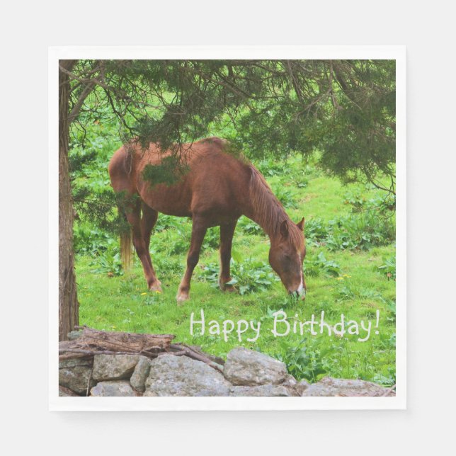 Serviette En Papier Joyeux Cheval d'anniversaire (Devant)