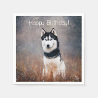 Joyeux Husky anniversaire