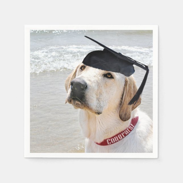 Serviette En Papier Labrador Retriever Graduate With Cap (Devant)