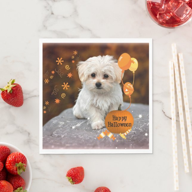 Serviette En Papier L'adorable chiot maltais célèbre Halloween (En situation)