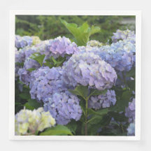 Lavande & Lilac Hortensia Hydrangea Fleurs