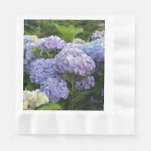 Lavande & Lilac Hortensia Hydrangea Fleurs