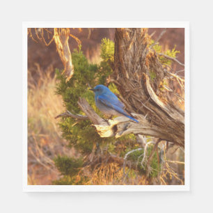 Serviette En Papier Le merle bleu des montagnes du parc national Arche