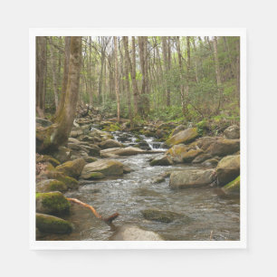 Serviette En Papier Le ruisseau Le Conte dans les montagnes Great Smok