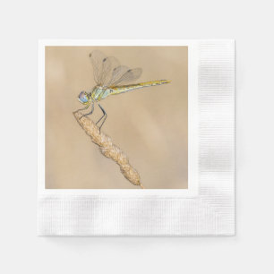 Serviette En Papier Libellule Skimmer Insecte Femelle (CC BY 4.0)