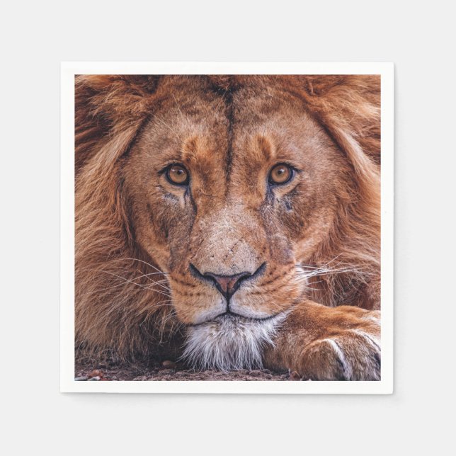 Serviette En Papier Lion africain (Devant)