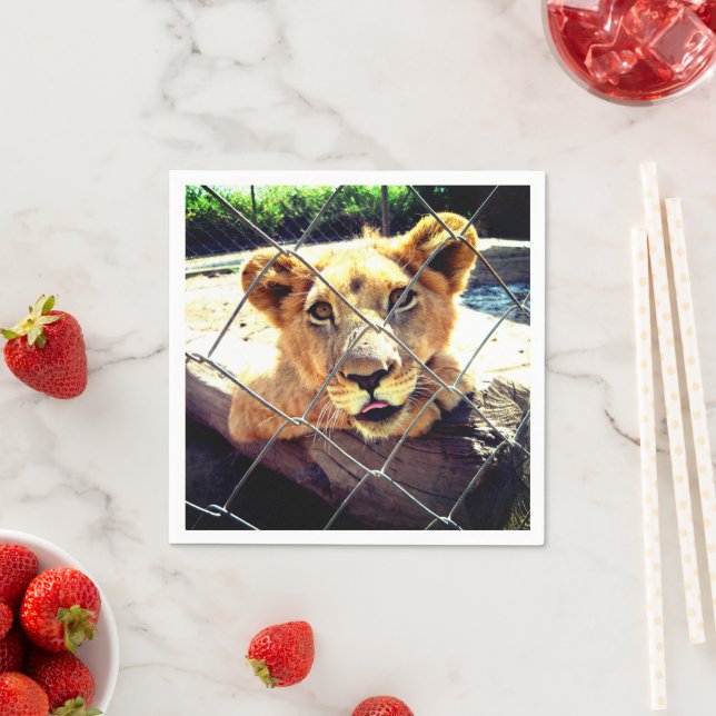 Serviette En Papier Lion Cub (En situation)