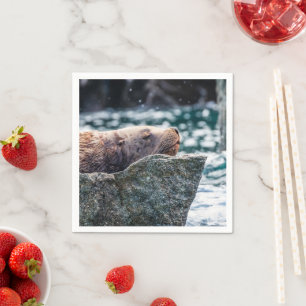 Serviette En Papier Lion De Mer Dans La Baie De Résurrection, Alaska