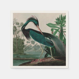 Serviette En Papier Louisiane Heron Birds of America Audubon Print