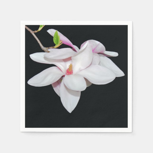 Serviette En Papier Magnolia blanche (Devant)