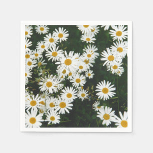 Serviette En Papier Marguerite commune Prairie