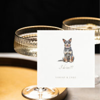 Mariage de chien de bétail australien personnalisé