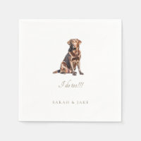 Mariage de laboratoire Brown pour animaux domestiq