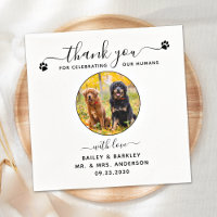 Mariage pour animaux de compagnie moderne élégant 