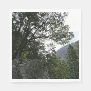 Serviette En Papier Matin sur le sentier menant à Vernal Falls dans Yo