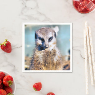 SERVIETTE EN PAPIER MEERKAT