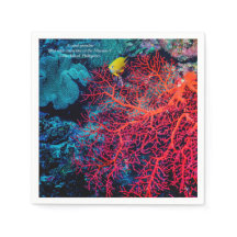 Mémoire de l'océan / Paysage de récif corallien