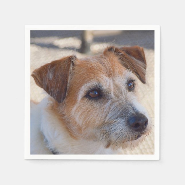 Serviette En Papier Mignonnes serviettes pour chien (Devant)