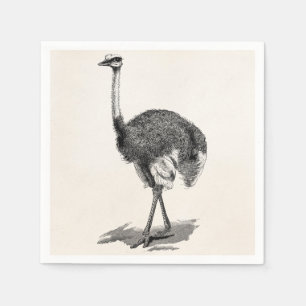 Serviette En Papier Modèle vintage d'oiseaux d'antiquité d'oiseau