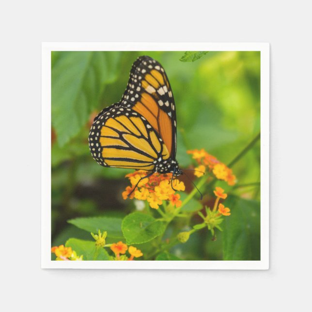 Serviette En Papier Monarque Sur Lantana (Devant)