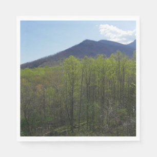 Serviette En Papier Montagnes fumées dans le paysage du printemps