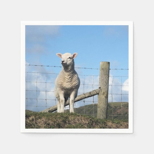 SERVIETTE EN PAPIER MOQUETTE (Devant)