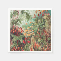 Mosses, Muscinae Laubmoose par Ernst Haeckel