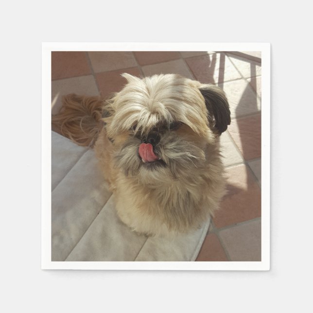 Serviette En Papier Mouchoirs en papier pour chien Shih Tzu (Devant)