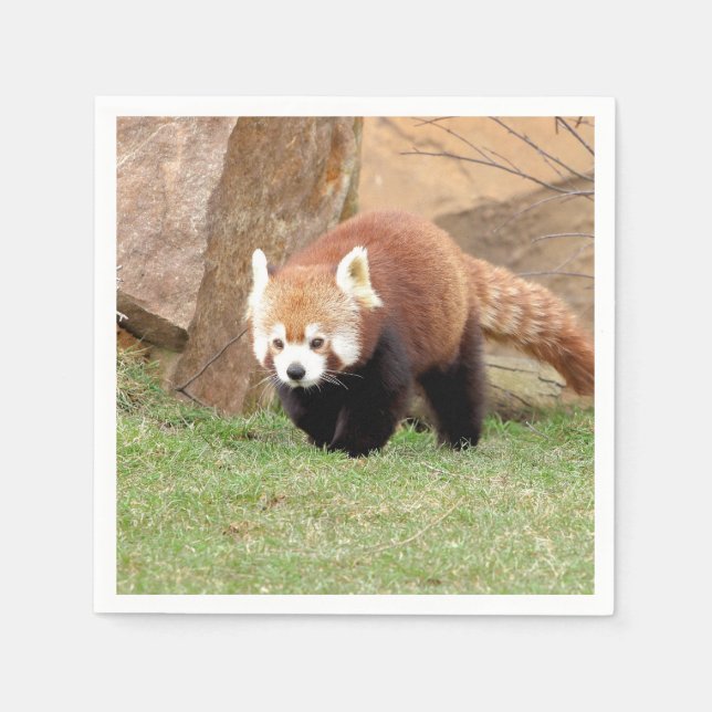 Serviette En Papier Napkins Panda rouge photo, animaux 0461. (Devant)