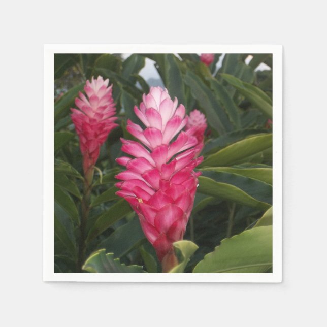 Serviette En Papier Naples Hawaii Ginger (Devant)
