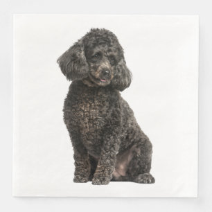 Serviette En Papier Noir Poodle Chien Chien Chien Fête de Mariage Anni