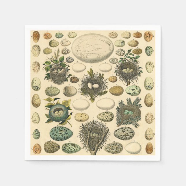 Serviette En Papier OEuf vintage Nid Art Peinture OEufs (Devant)