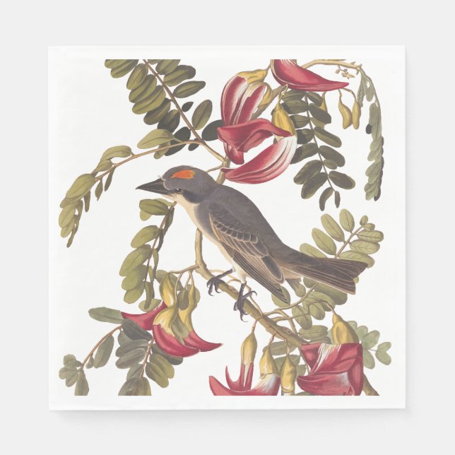 Serviette En Papier Oiseau Audubon du Roi gris sur arbre à fleurs (Devant)
