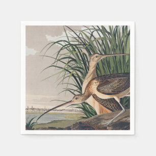 Serviette En Papier Oiseau de Courlis à long bec Audubon