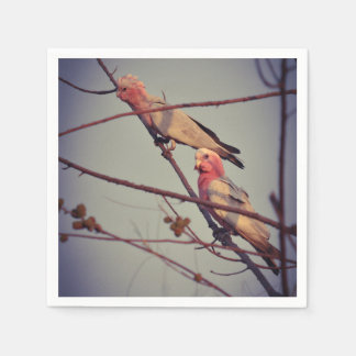 Serviette En Papier Oiseaux de Galah dans l'arbre2