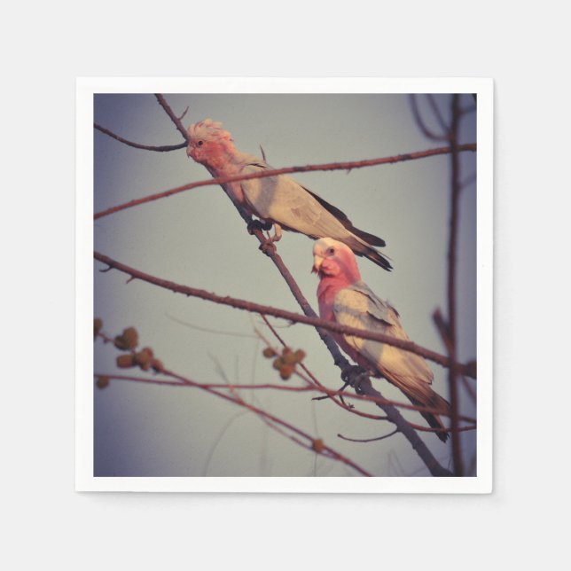 Serviette En Papier Oiseaux de Galah dans l'arbre2 (Devant)