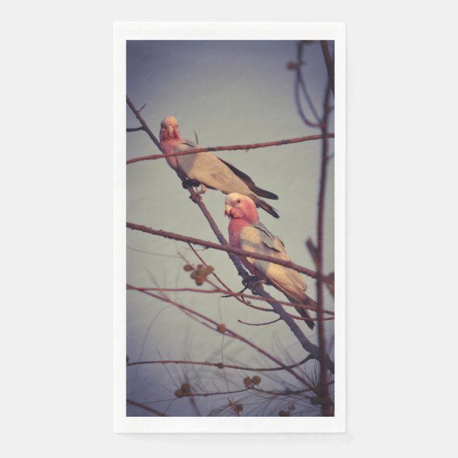 Serviette En Papier Oiseaux de Galah dans l'arbre 1 (Devant)