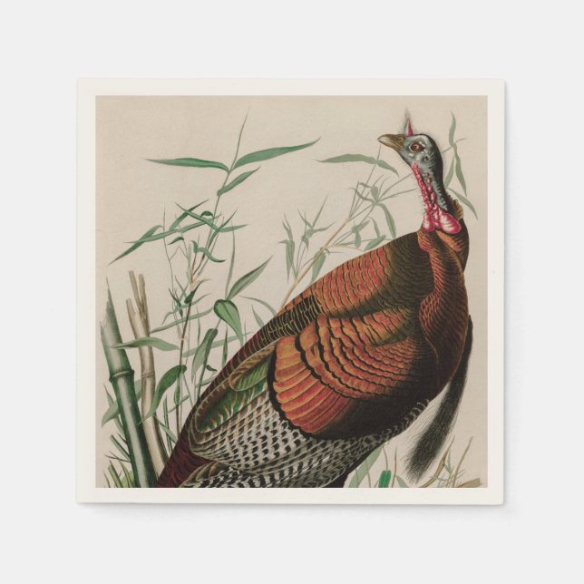 Serviette En Papier Oiseaux sauvages de Turquie d'Amérique Audubon Imp (Devant)
